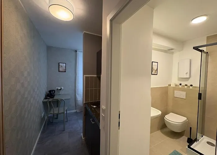 Modernes 1 Zimmerapartment 4 Mit Wlan Fuer Handwerker & Monteure Ludwigshafen am Rhein